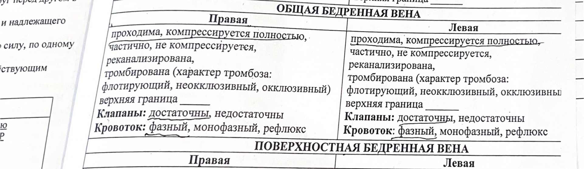 УЗИ вен нижних конечностей в СПб