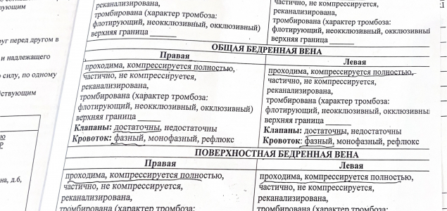 УЗИ вен нижних конечностей в СПб