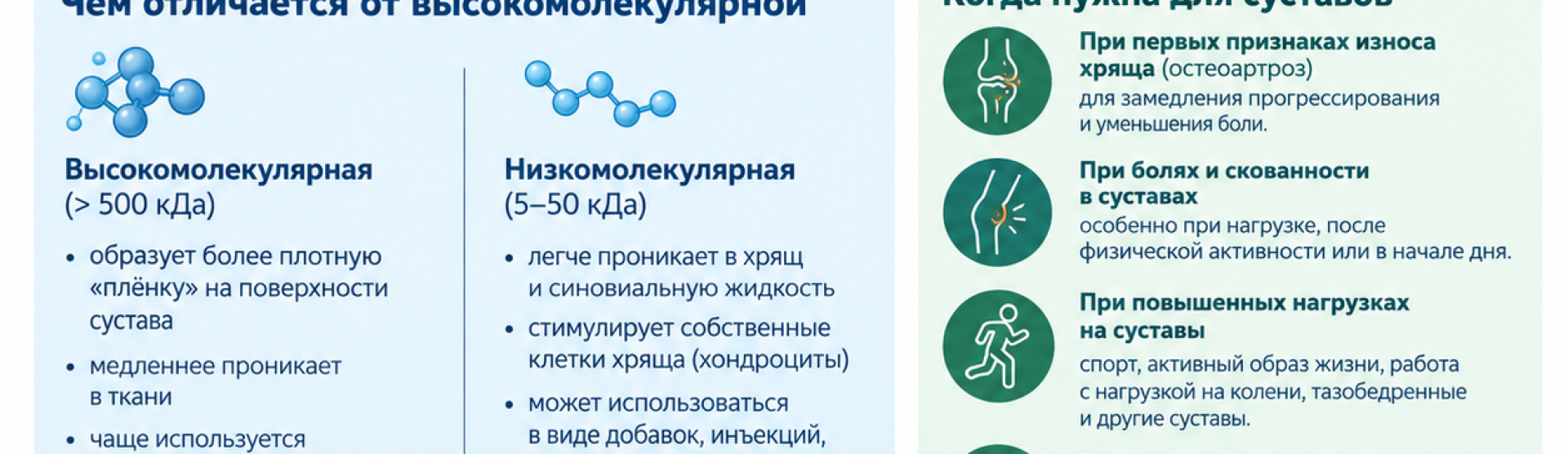 Низкомолекулярная гиалуроновая кислота: когда нужна и как вводится у м. Чкаловская, Спортивная, Горьковская, Петроградская, Крестовский остров