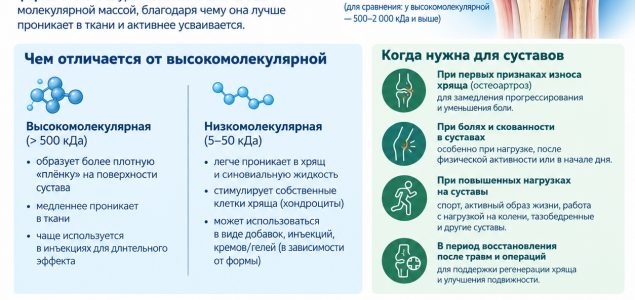 Низкомолекулярная гиалуроновая кислота: когда нужна и как вводится у м. Чкаловская, Спортивная, Горьковская, Петроградская, Крестовский остров